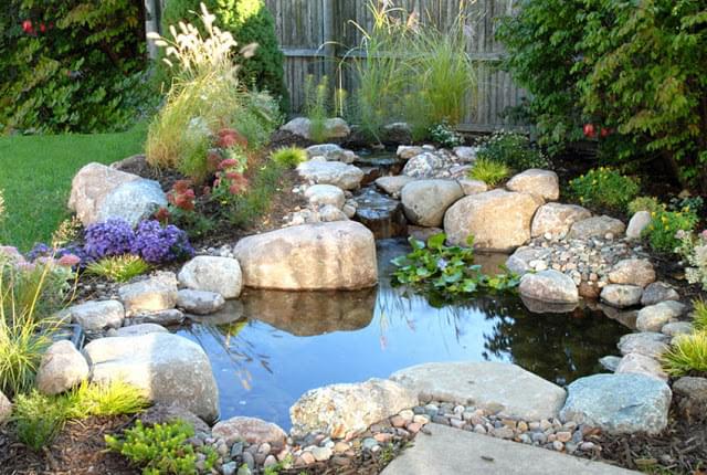     Clean backyard pond with waterfall after pond restoration and maintenance service