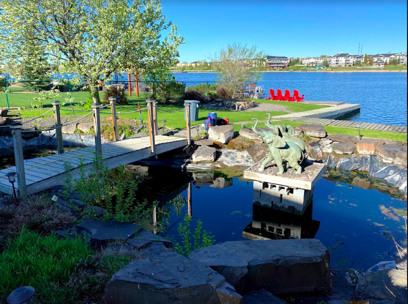 Screen-Shot-2020-06-03-at-10.30.06-AM