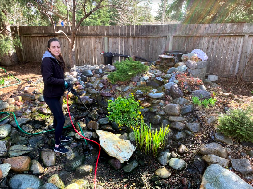 Screen-Shot-2020-06-03-at-10.35.55-AM