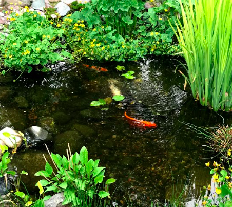 Screen-Shot-2020-06-04-at-2.57.29-PM