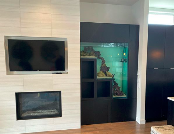 Custom In-Wall Aquarium Custom Built In-Wall Aquarium