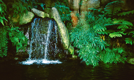 Beautiful Waterfall Style Vivarium