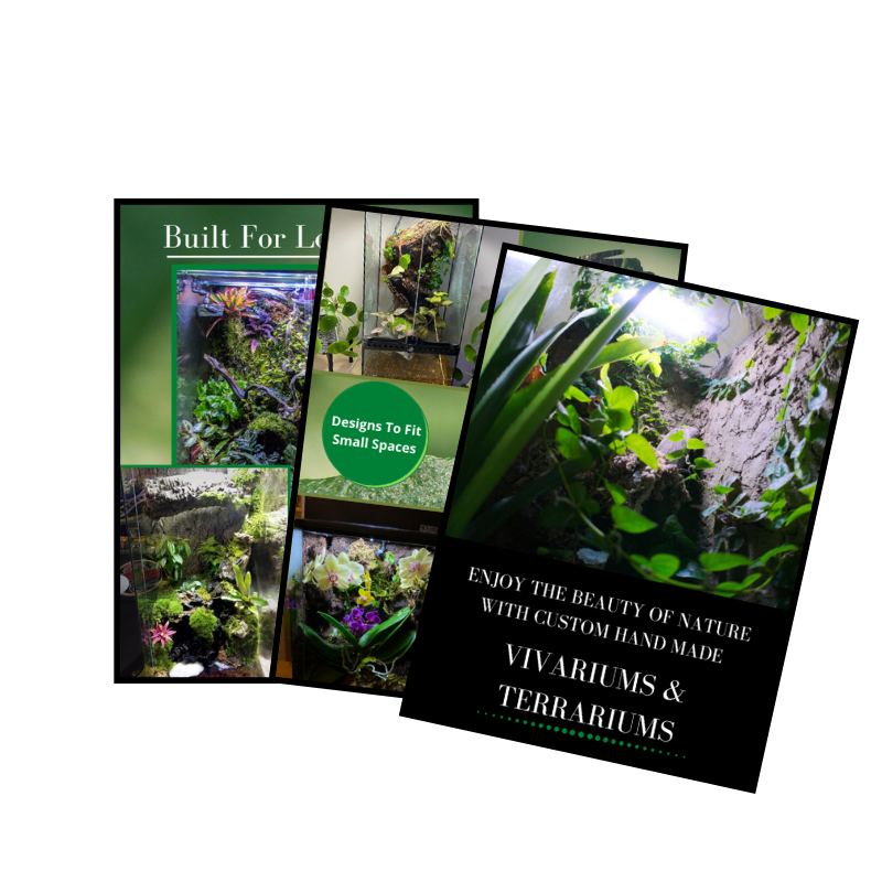 Free Terrarium Designs eBook