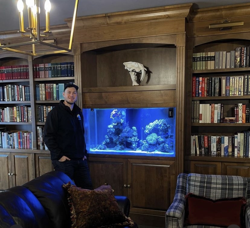 custom aq custom aquarium in wall