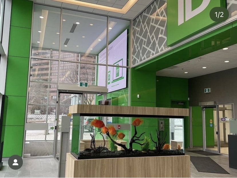 Luxury built-in custom commercial business aquarium