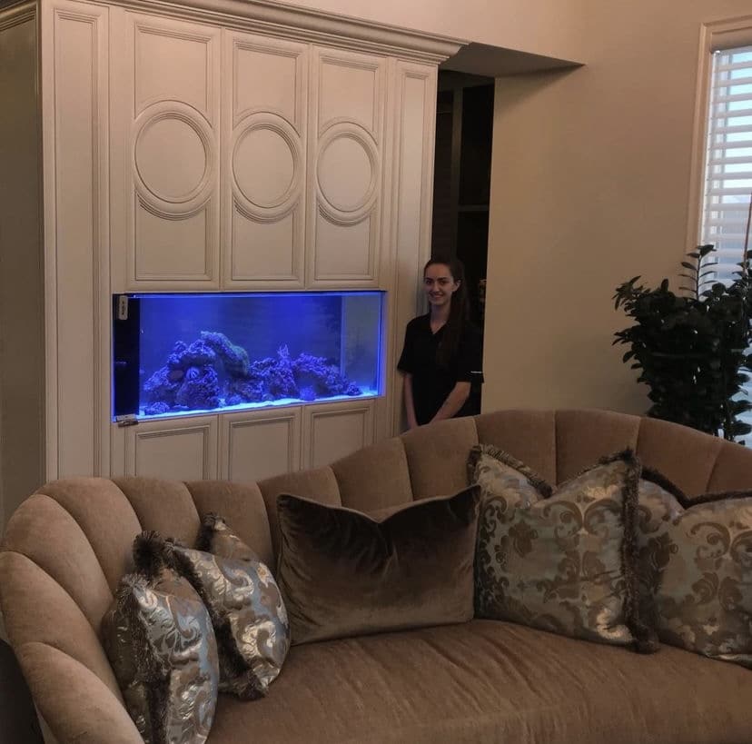 clients aquarium custom in-wall aquarium at clients house