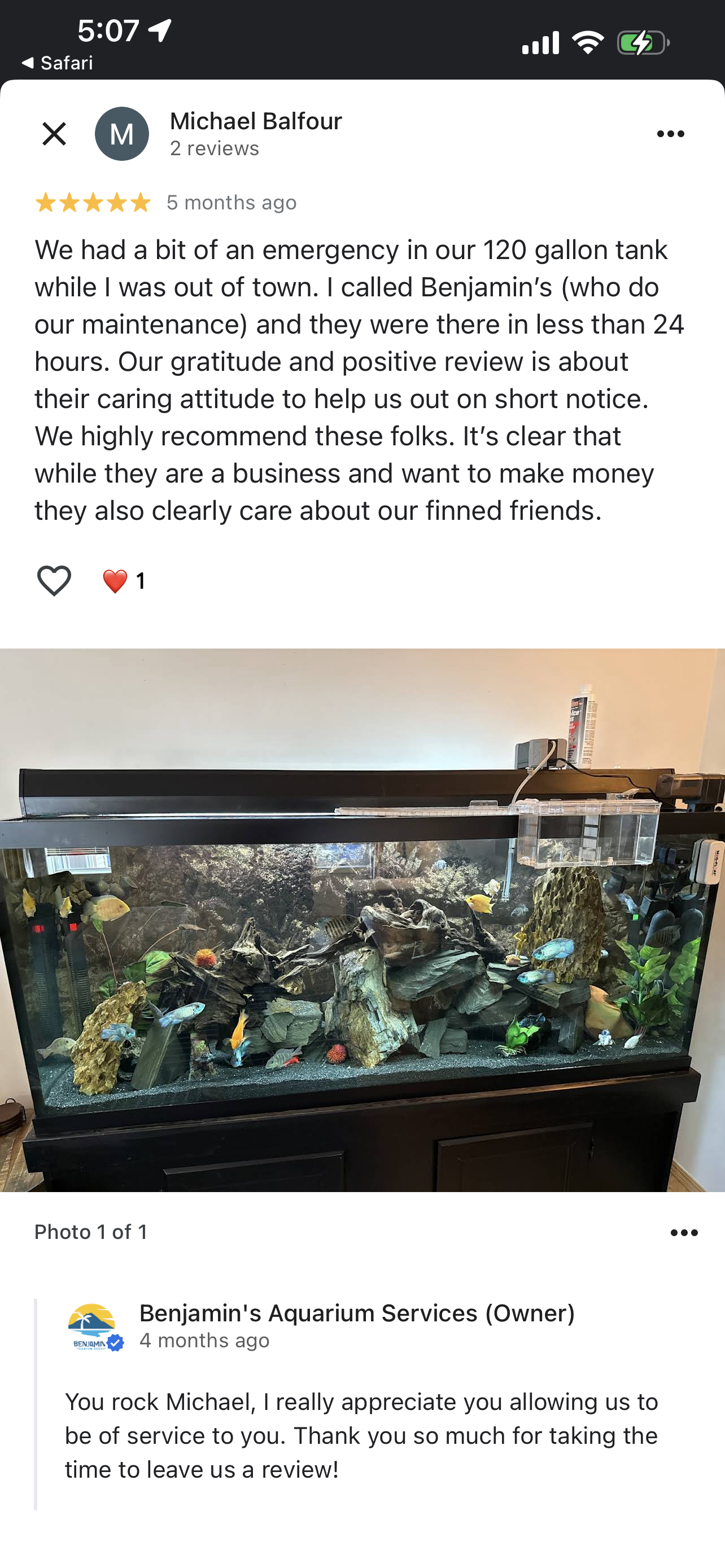     Professional aquarium cleaning service in Calgary restoring crystal clear water