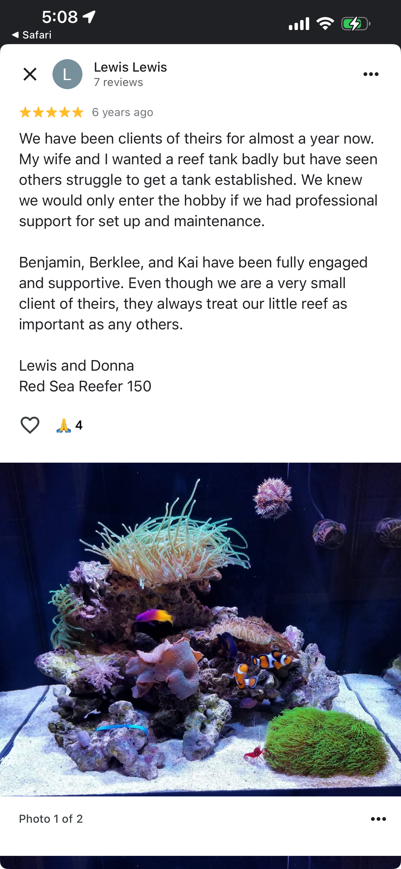     Aquarium maintenance service in Calgary improving water clarity and fish health