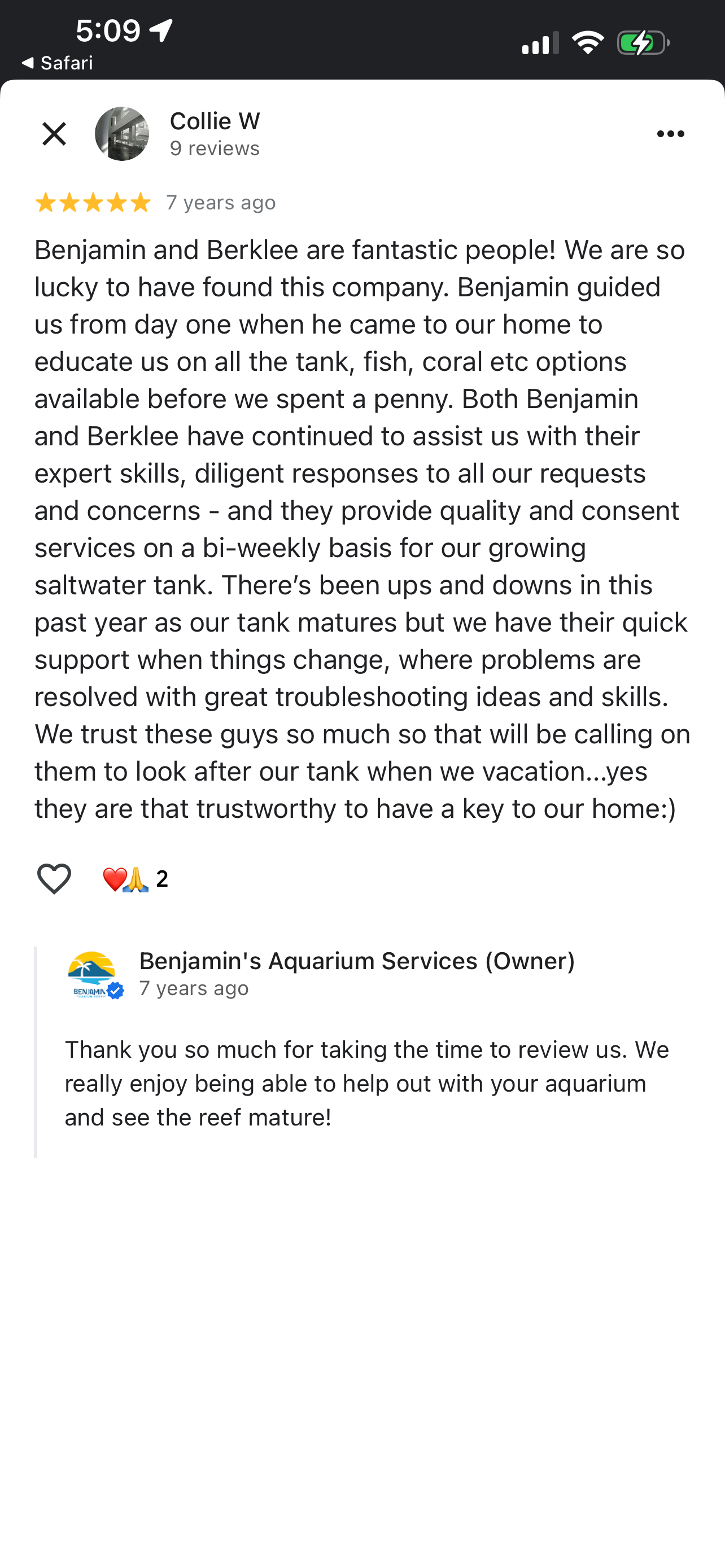     Clean and healthy aquarium after professional maintenance in Calgary home