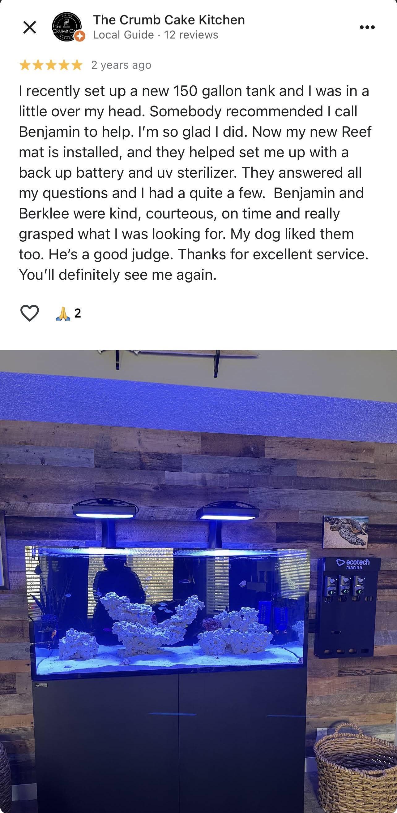 Luxury in-wall aquarium design and installation in Calgary Alberta