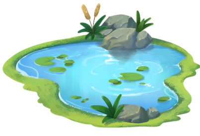 enjoy clean pond 