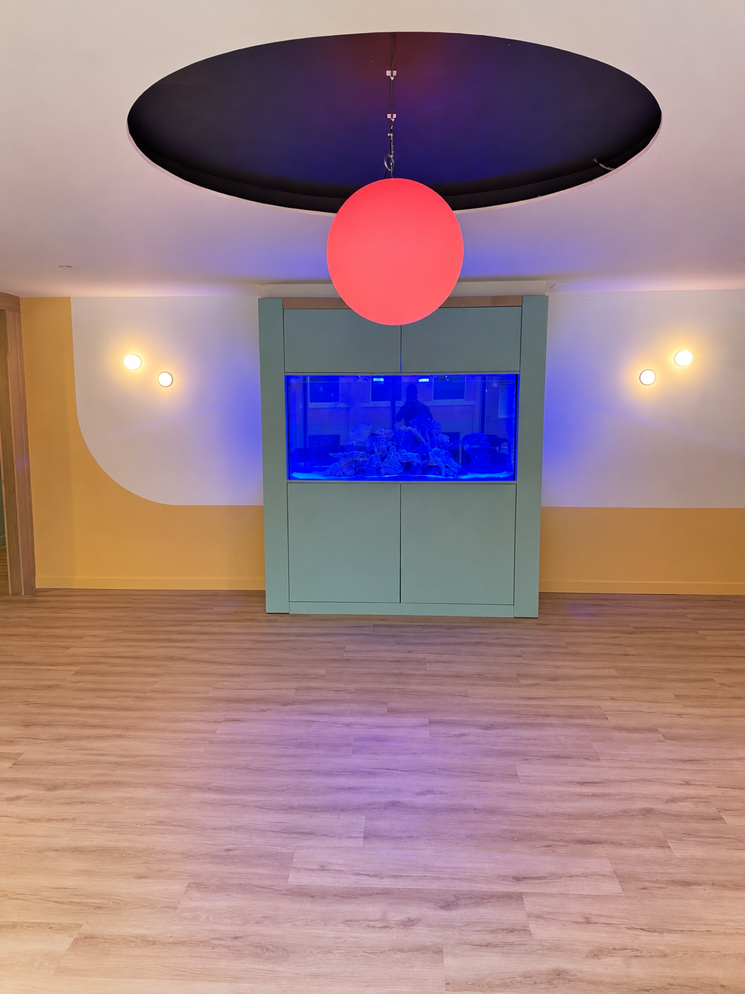 Custom built freshwater aquarium with modern cabinetry installed in a residential living space.