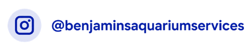Tag us on Instagram at @benjaminsaquariumservices to get featured with Benjamin’s Aquarium Services.