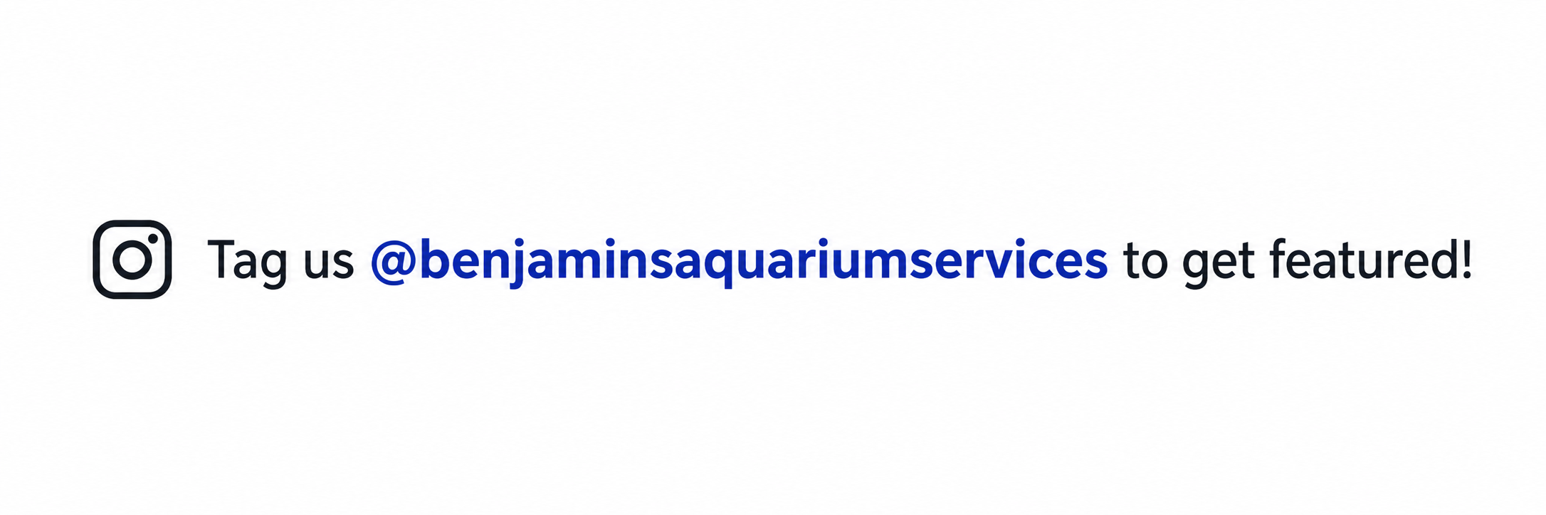 Tag us on Instagram at @benjaminsaquariumservices to get featured with Benjamin’s Aquarium Services.