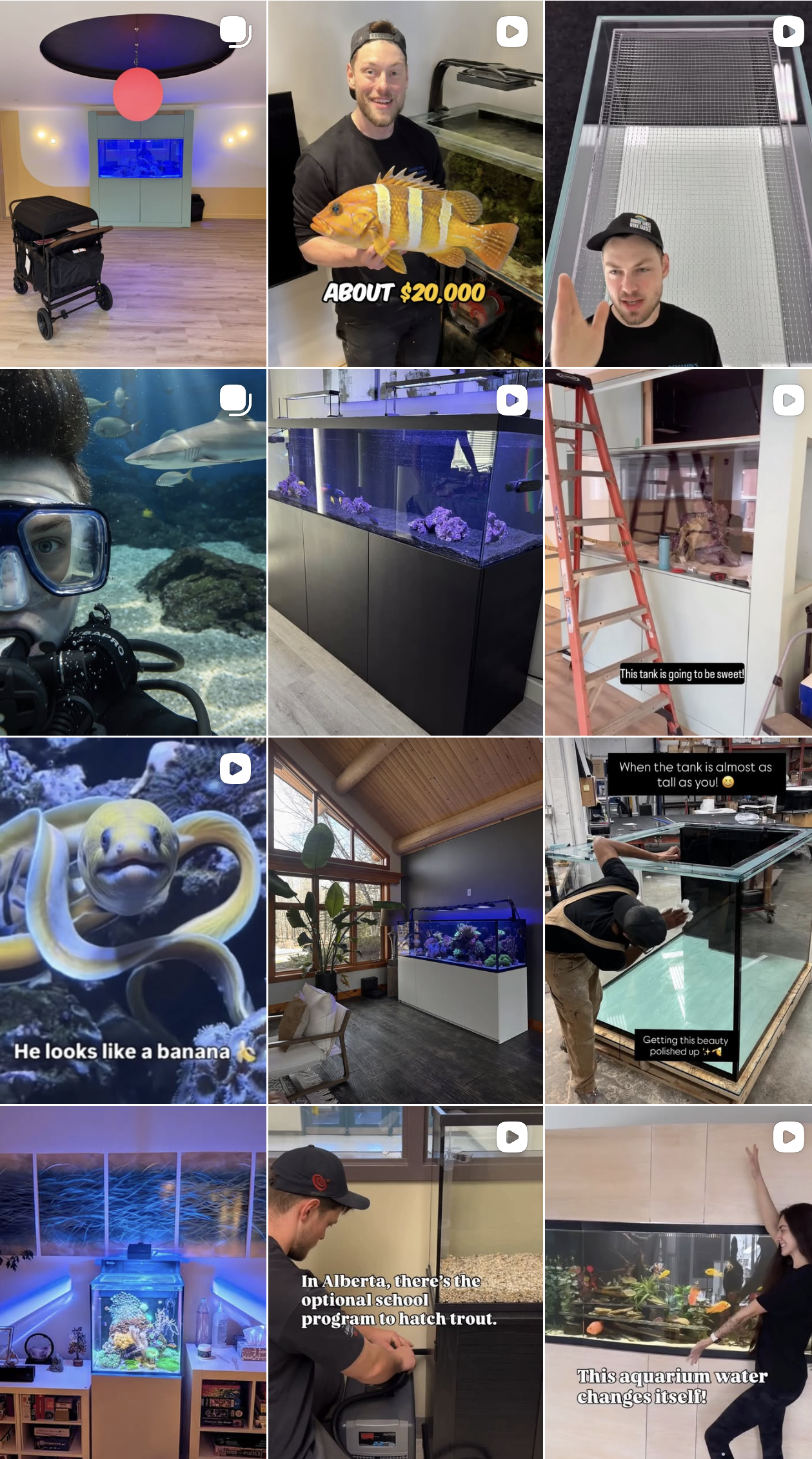 Instagram feed showcasing custom aquariums, aquarium maintenance, behind-the-scenes work, team members, and aquarium installation projects by Benjamin’s Aquarium Services.