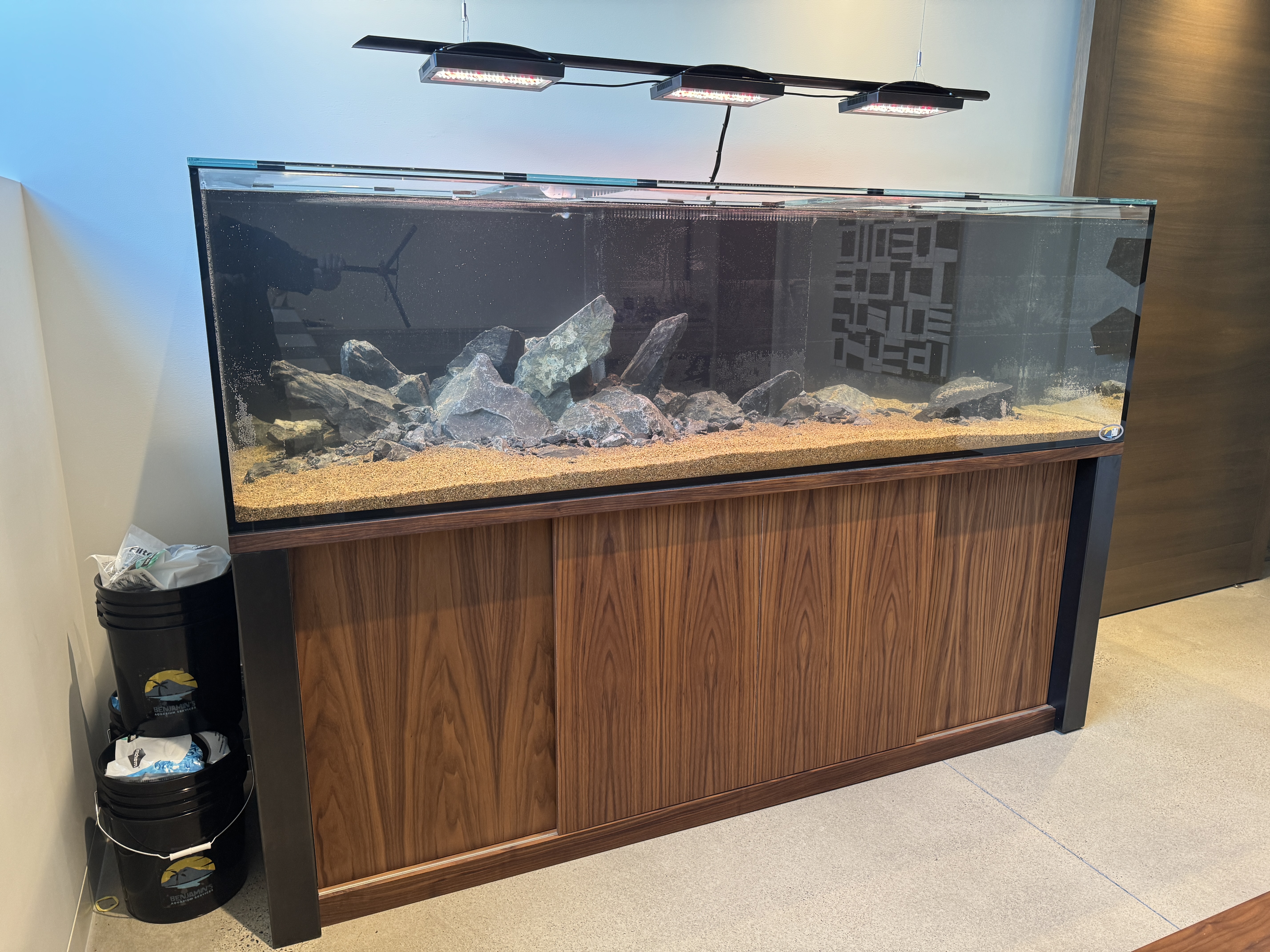 Custom freshwater aquarium with a wood cabinet and modern LED lighting installed in a residential home.