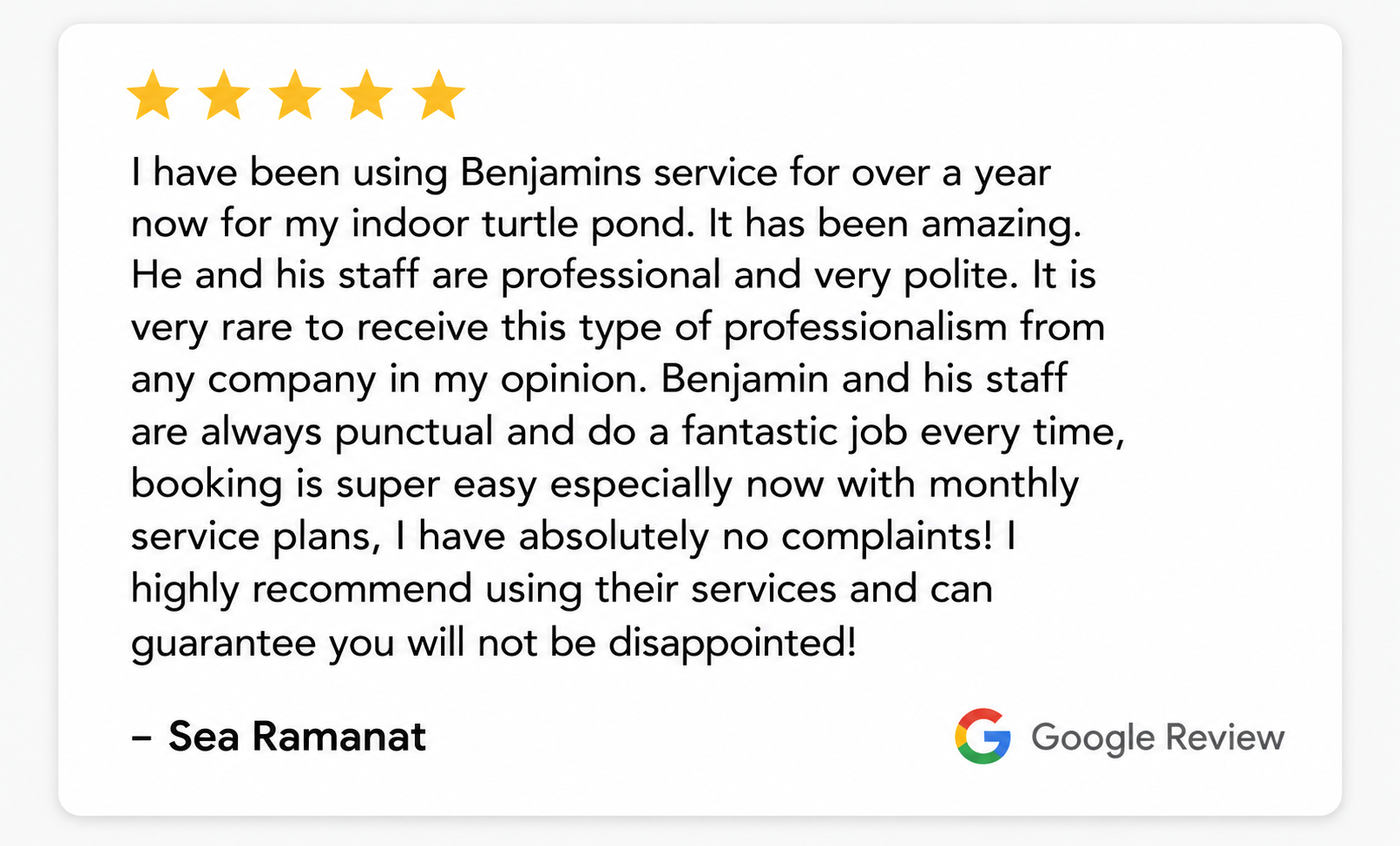 5-star Google review from Lorraine Zwicker recommending Benjamin’s for reliable and professional pond maintenance