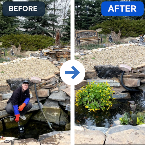 Before and after backyard pond service showing a cleaner, restored pond and surrounding landscape.